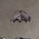 Chaos Handmade Pendant Lamp Gray