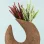 Crown Handmade Ceramic Vase