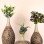 Naturacraft Handmade Decorative Ceramic 3-Piece Vase