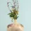Regarder Handmade Ceramic Patterned Vase