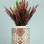Gratuit Handmade Ceramic Vase