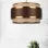 Liberte Single Pendant Chandelier
