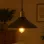 Amberia Single Pendant Chandelier